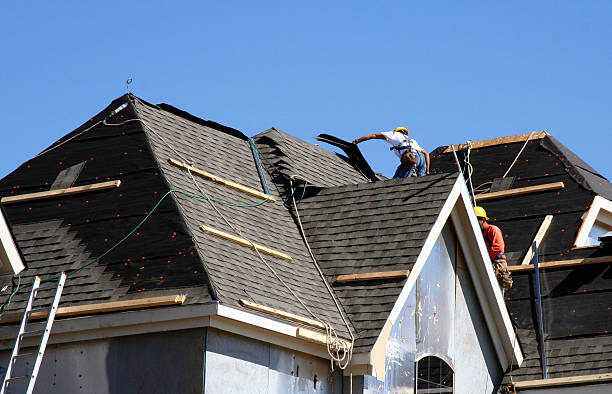 Best Metal Roofing Contractor  in Blackstone, VA