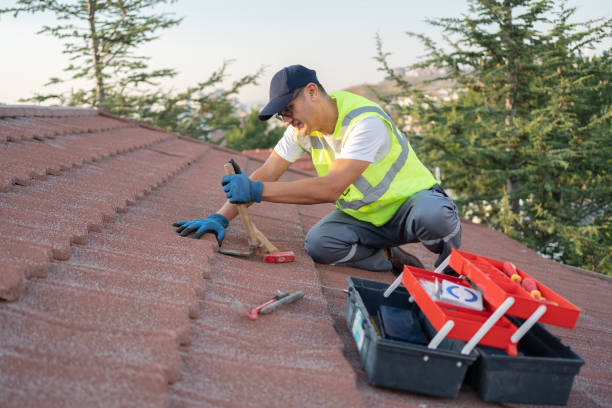 Sealant for Roof in Blackstone, VA